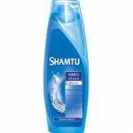 SHAMTU Шам 360  Против перхоти с цинком