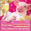 Кисть GALANTE д/подводки контура глаз, дерево, натурал.ворс пони, 15см, черный, 26905-19 3